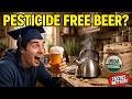 I Brewed 100% Organic Beer for Under $100 (And It Tastes Better Than Store Bought)
